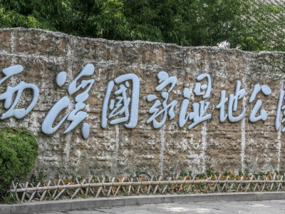 工程案例——杭州西溪国家湿地公园（旅发项目）